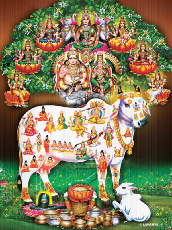 Gomatha With Astalakshmi