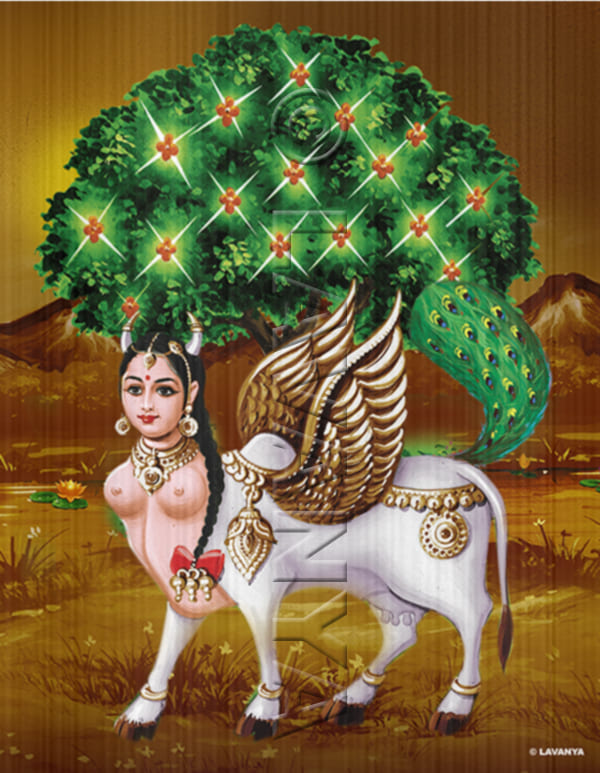 Gomatha